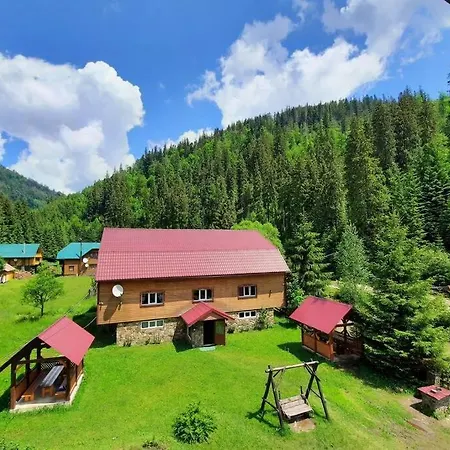 студіо номер 5 у ані *