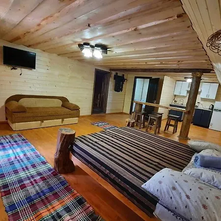 студіо номер 5 у ані Apartamento Synevyrsʼka Polyana