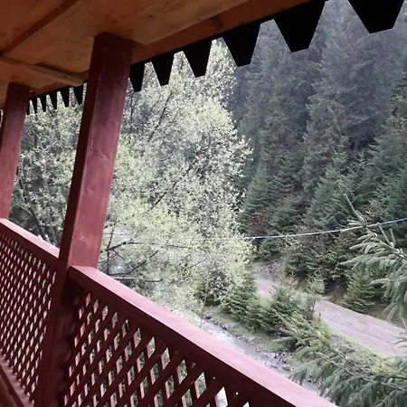 студіо номер 5 у ані Synevyrs'ka Polyana