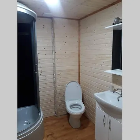 студіо номер 5 у ані Apartment Synevyrs'ka Polyana