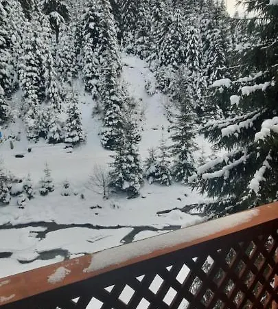 студіо номер 5 у ані Apartment Synevyrs'ka Polyana