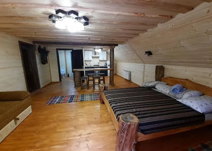 студіо номер 5 у ані Synevyrsʼka Polyana