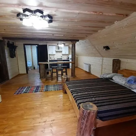 студіо номер 5 у ані Synevyrsʼka Polyana